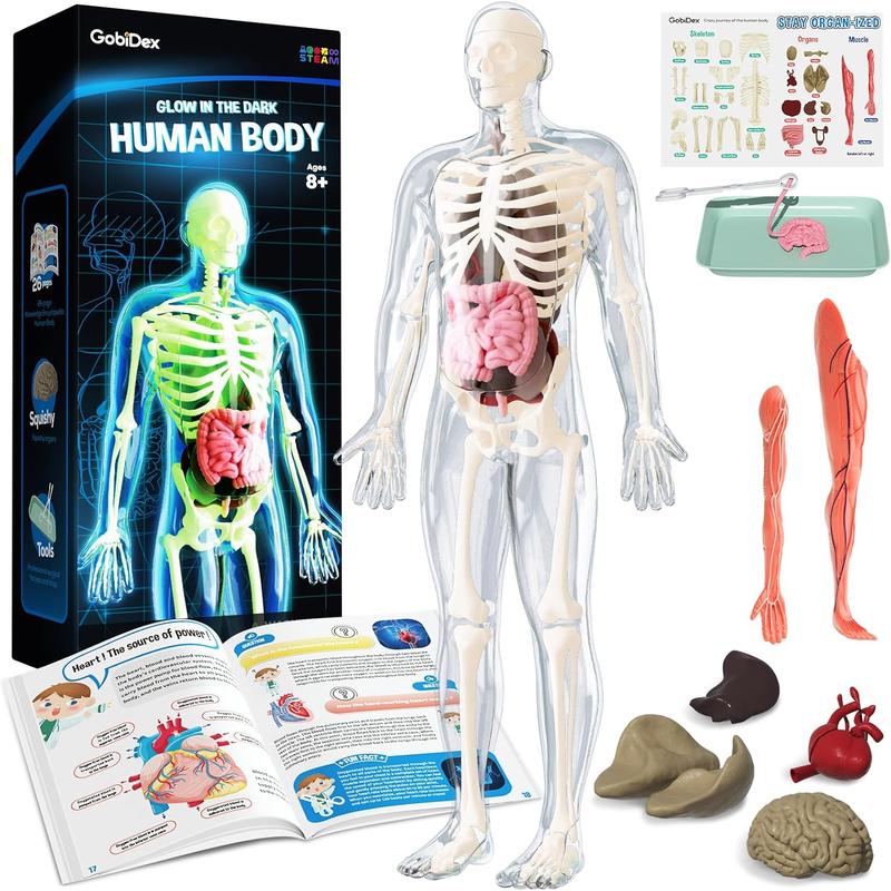 GobiDex Human Body Skeleton Model Kits, 40 Piece Anatomy Figure,Glow in The Dark Bones Interactive Science Kit, STEM Educational Toys for Boys and Girls, Halloween Physiology Gifts for Kids Ages 8+