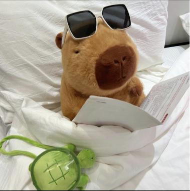 Summer Capybara Plush Toy - Cute Simulation Stuffed Animal for Home Sofa & Bed DecorationSummer Capybara Plush Toy, Cute Simulation Capybara Stuffed Toy, Soft Animals Decoration Toy for Home Sofa & Bed, Pets Plush Toys, Bedroom Decor