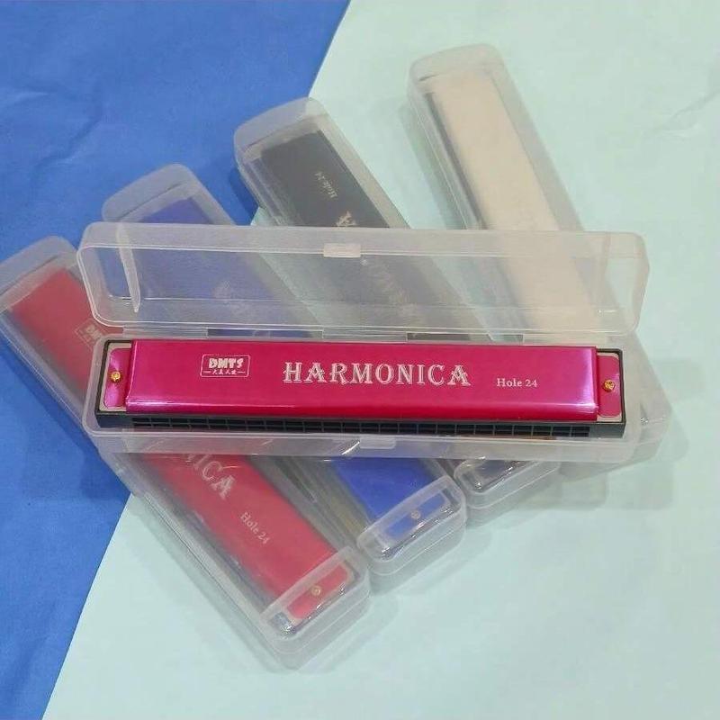 24 Hole Harmonica, C Key Harmonica, Musical Instrument for Beginners, Musical Instruments & Accessories for Home & School