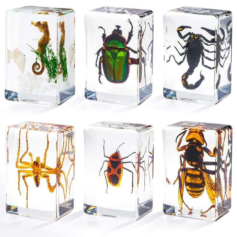 6 Styles Insect in Resin Specimen, Bugs Collection Paperweights Animal Specimen for Kids Bug Preserved in Resin for Scientific Education Office Desk Christmas Display Supplies