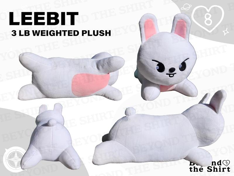 SKZOO Weighted Plushie